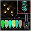 Sơn gel AS dạ quang set 6 màu YT chai 15ml