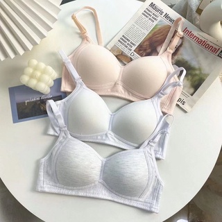 Áo Ngực Nữ Không Gọng Chất Cotton Mịn, Áo Lót Nữ Nâng Ngực Mút Mỏng Siêu Xinh AMYBRA A838