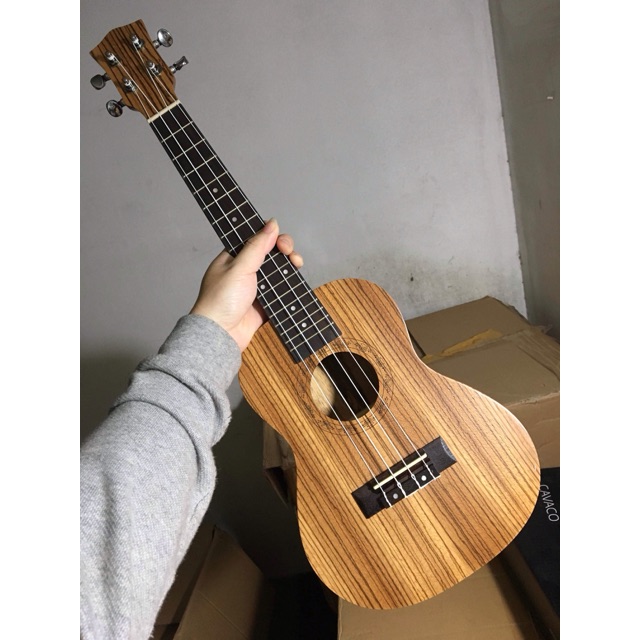 Magi deals concert ukulele