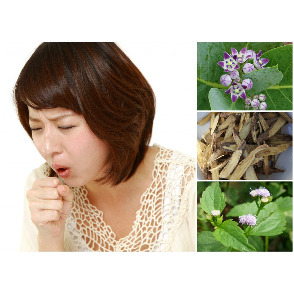 Cây lá hen khô thượng hạng JINDO 1kg hỗ trợ cho người bị ho, hen xuyễn