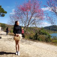 lylyduong
