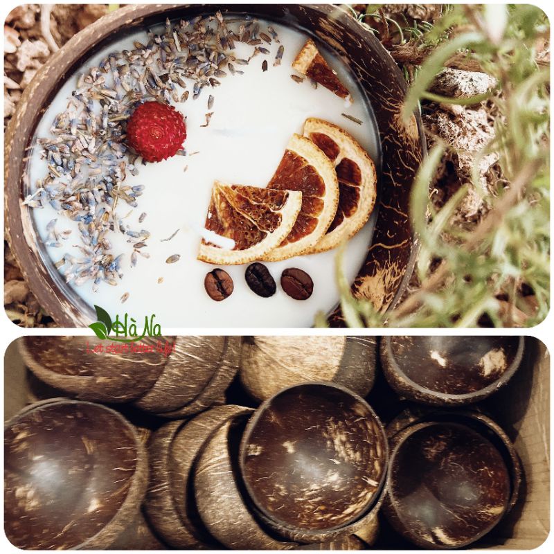 NẾN GÁO DỪA TINH DẦU TỰ NHIÊN