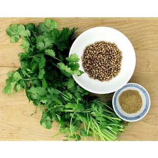 Hạt giống rau mùi ta .