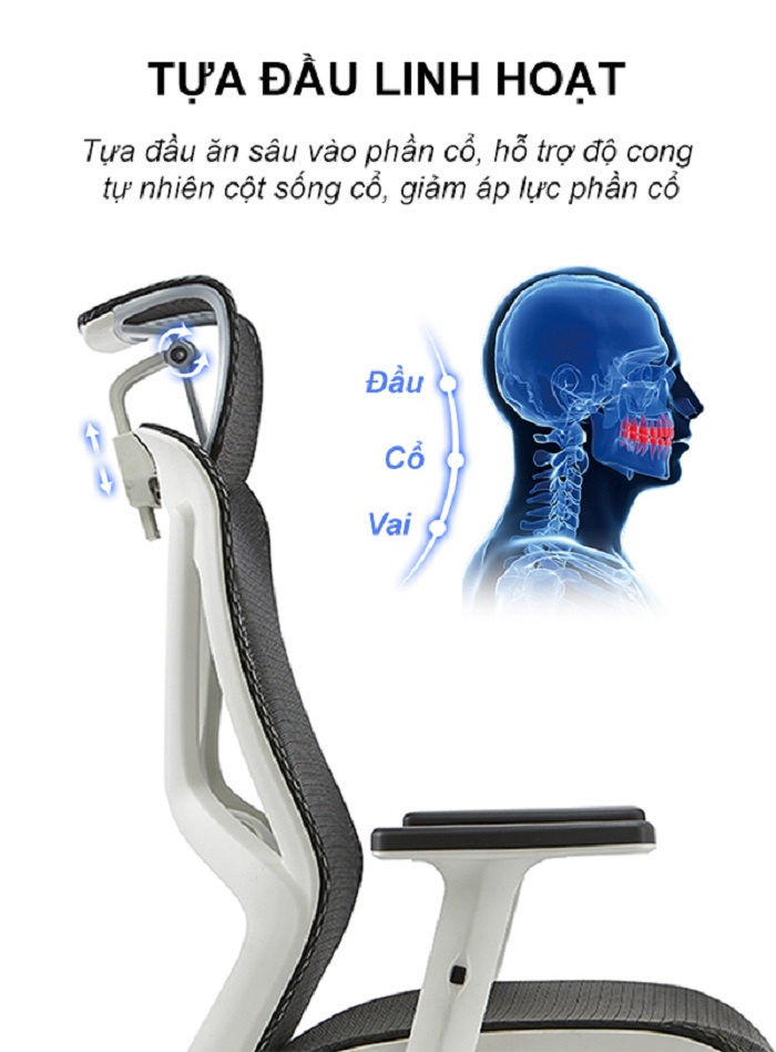 Ghế công thái học Spider 01 - Tựa đầu và tựa lưng