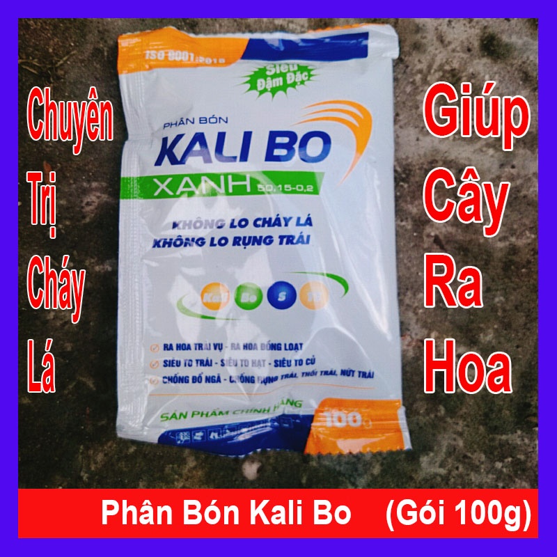 Phân bón lá giúp siêu to hạt, to trái - Kali bo xanh (gói 100g)