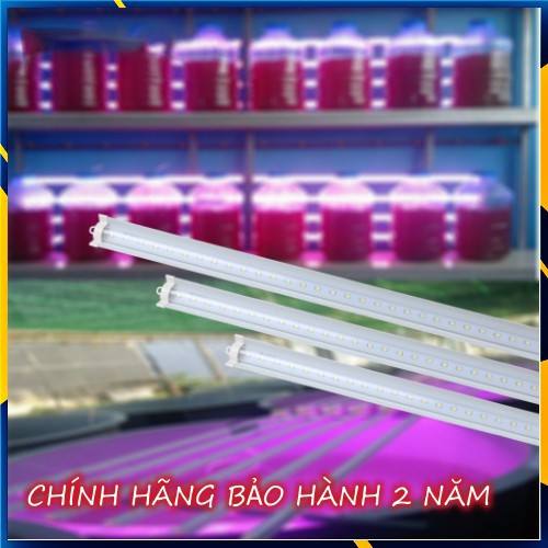 Ảnh Đèn LED nuôi cấy mô Rạng Đông model D NCM02L 1