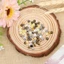 YOLOGO 20 / 40 Chiếc Nút Mini Họa Tiết Ngôi Sao Trang Trí Phụ Kiện 5 Mm DIY Búp Bê Quần Áo