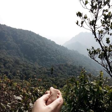 buimanhthang97
