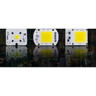 Chip LED COB 50W 110V 220V 10W 30W 20W 10W IC thông minh Phù hợp với đèn LED ngoài trời DIY Không cần trình điều khiển