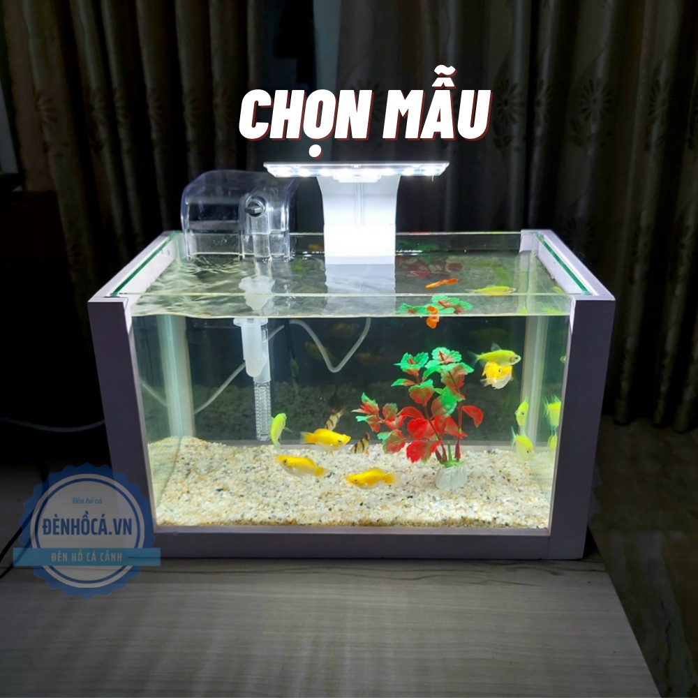 Bể Cá Mini Giá Tốt Tháng 5, 2023 | Mua Ngay | Shopee Việt Nam