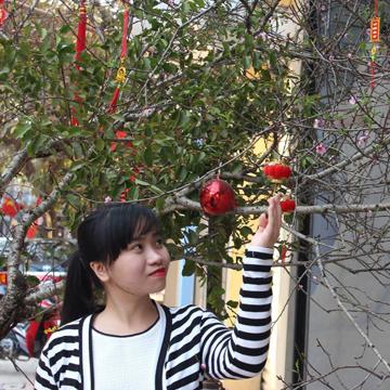 quynh_tran93