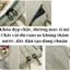 Balo thời trang chất đẹp tặng kèm gấu bông