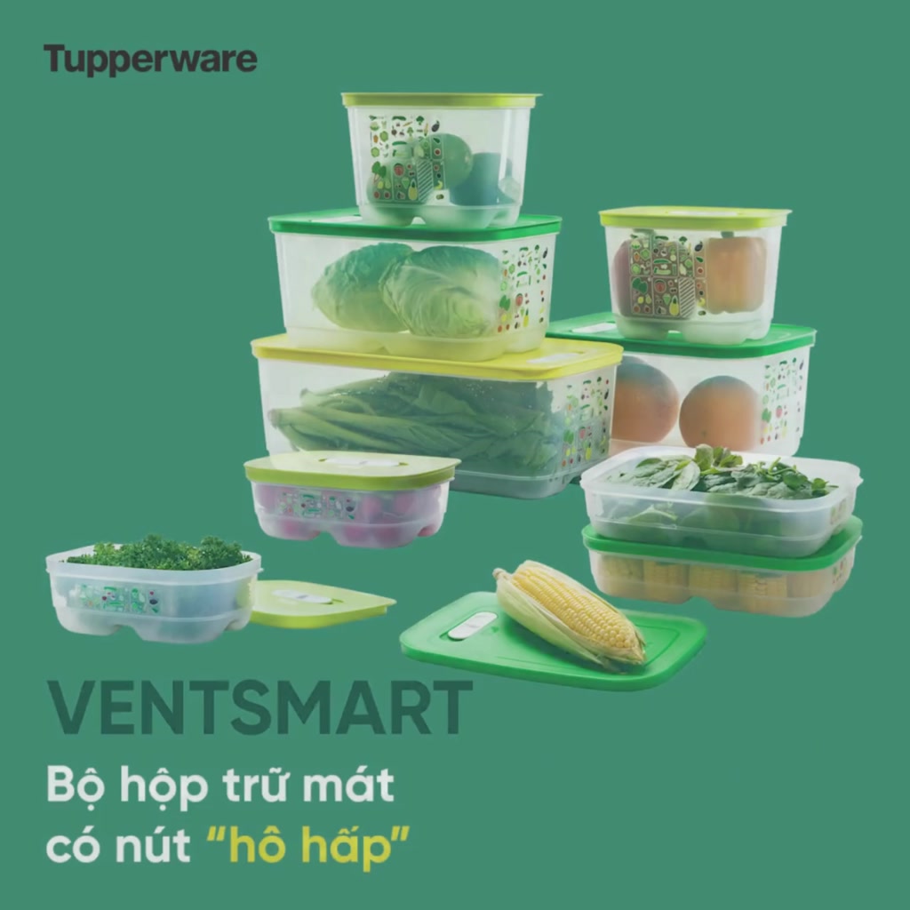 Bộ hộp trữ mát có nút hô hấp Tupperware Ventsmart 6 (nhãn APAC) - Bảo ...