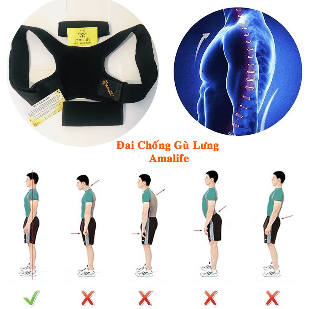 Ảnh Đai Chống Gù Lưng Cho Trẻ Em Từ 5-12 Tuổi Cao Cấp Chính Hãng Amalife 4