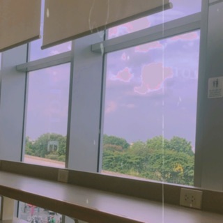 dieulinh206_