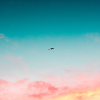 ngoc_ann