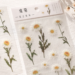 1 Tấm Hình Dán Trong Suốt Chống Nước Dùng Trang Trí Sổ Tay Độc Đáo