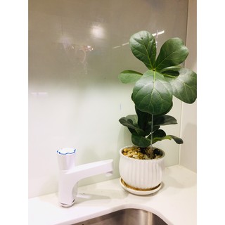 Vòi lavabo tay vặn WATERTEC màu trắng WT0063 nhựa ABS/PP/POM Malaysia chống oxy hóa