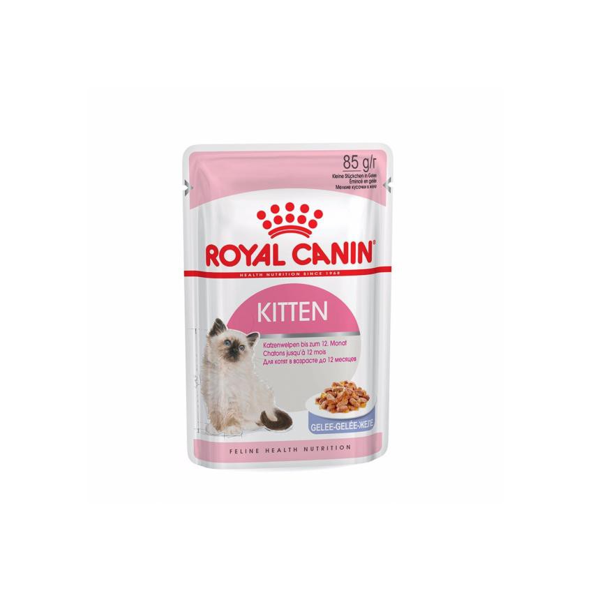 Pate royal 2024 canin kitten