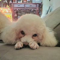 kieulinhvooo