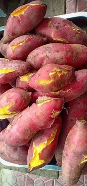 Khoai Lang Nhật .Vỏ Tím Ruột Vàng Nha Khach Oi .Số Lượng E Đóng Là 1Kg Trỏ  Lên A .Shop Cũ Hồng Trần 17 Nha .Ai Ăn Roi | Shopee Việt Nam