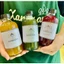 Trà Lên Men Lady Kombucha 500ml - Xanhsam Natural & Organic
