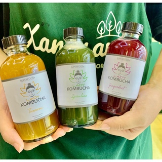 [HỎA TỐC] Trà Lên Men Lady Kombucha 500ml - Xanhsam Natural & Organic