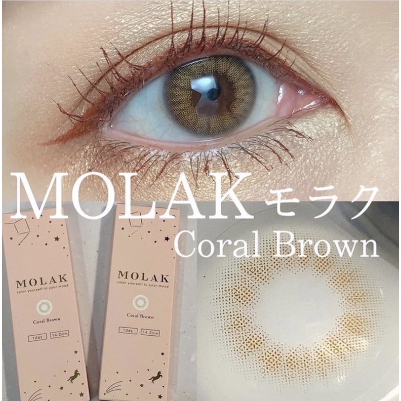 Lens 1 ngày Coral Brown dòng cấp ẩm 24h sử dụng Nhật Bản GAMILENS