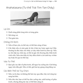 Sách - Yin Yoga - Khoa Học Về Yoga - Tâm yên bình, đẹp dáng xinh