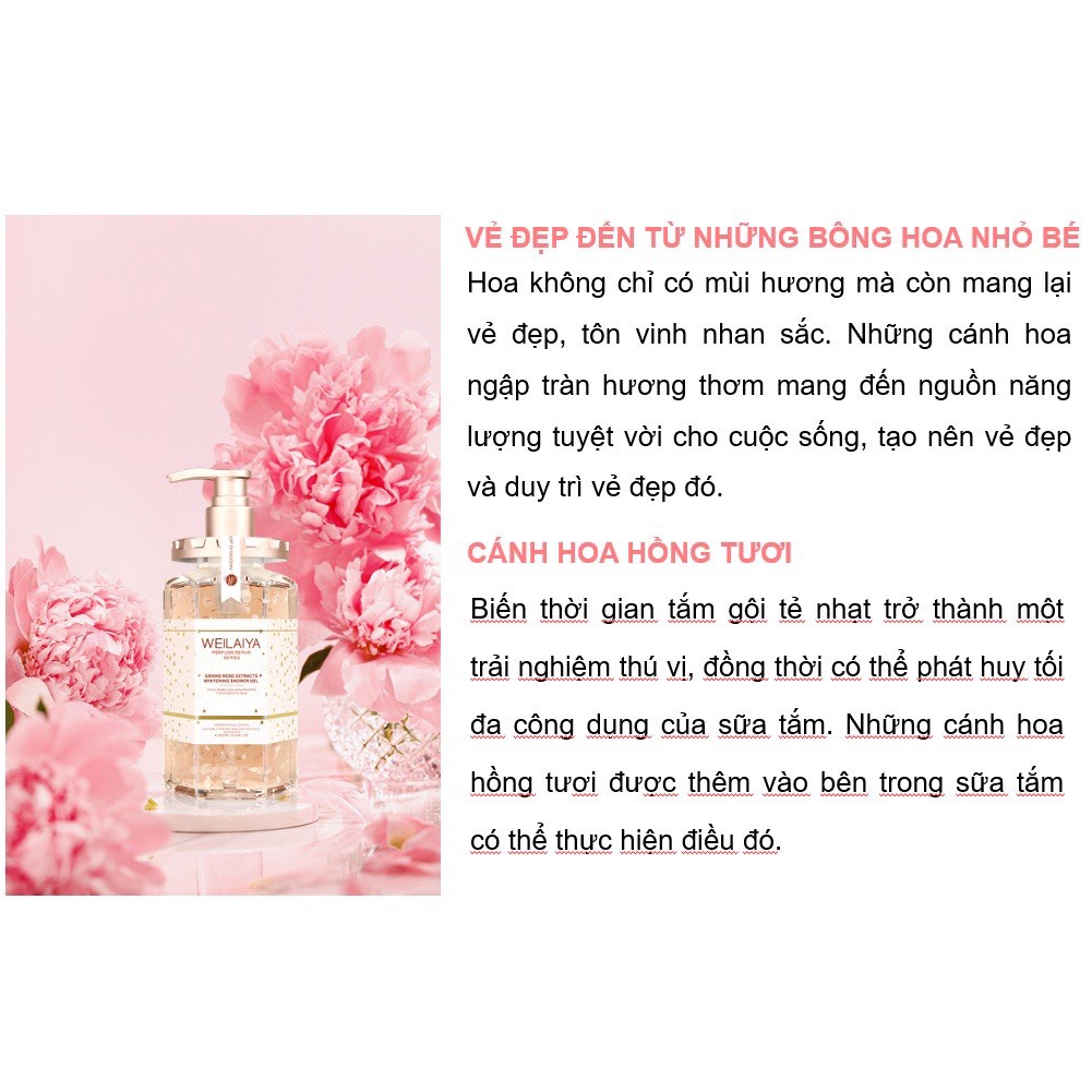 Sữa tắm Weilaiya gồm 3 hương Hoa Hồng, Hoa Trà và Hoa Cúc