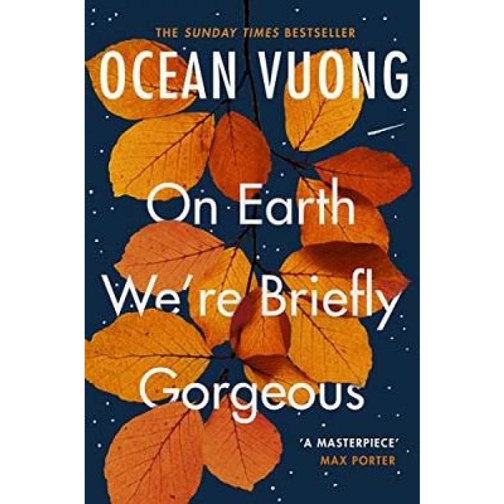 Ảnh Tiểu thuyết tiếng Anh - On Earth We're Briefly Gorgeous 1