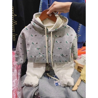 Áo nỉ hoodie cho bé, áo nỉ có mũ cho bé, áo nỉ lót lông, áo thu đông hàng Quảng Châu cho bé