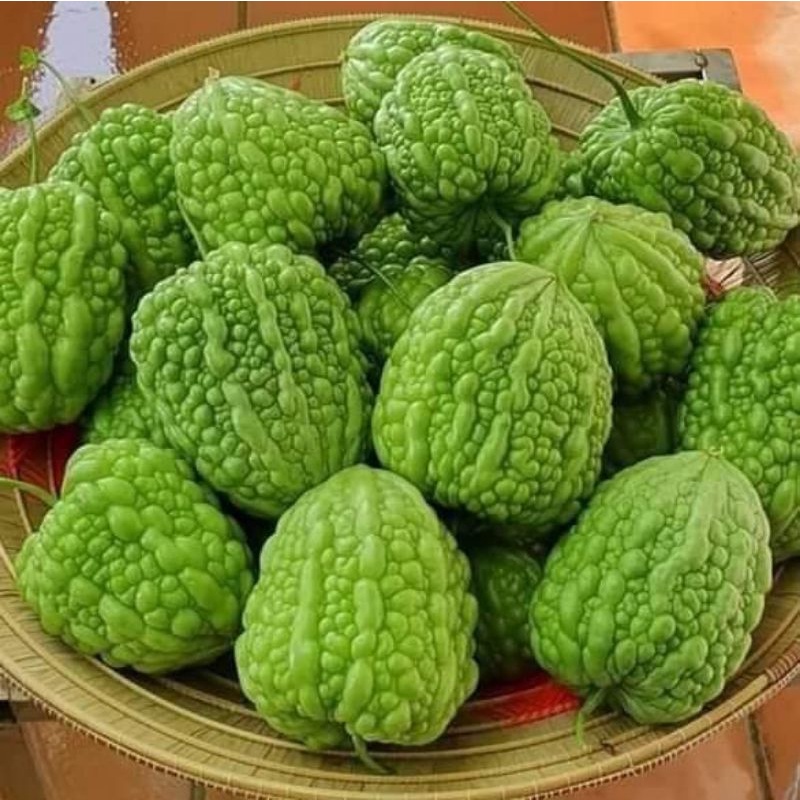 1gr hạt giống mướp đắng trái tim nhập khẩu Đài Loan🌞 💥 Ngon Lạ 💥 🌞 chất lượng cao