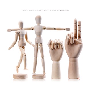 Hình nhân gỗ - Trưng bày - Mô hình Luyện vẽ Anatomy