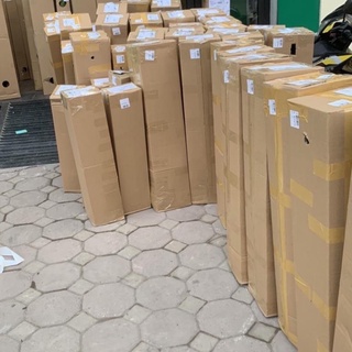 Cây đào tiên Nhật Bản ( đào ăn quả) 1 năm ra quả .
