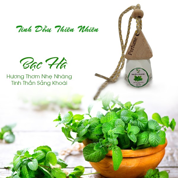 Ảnh Tinh dầu thơm phòng dạng dây treo hương sả chanh, quế, nhài, lavender, cam ngọt,.. khử mùi, thư giãn 2