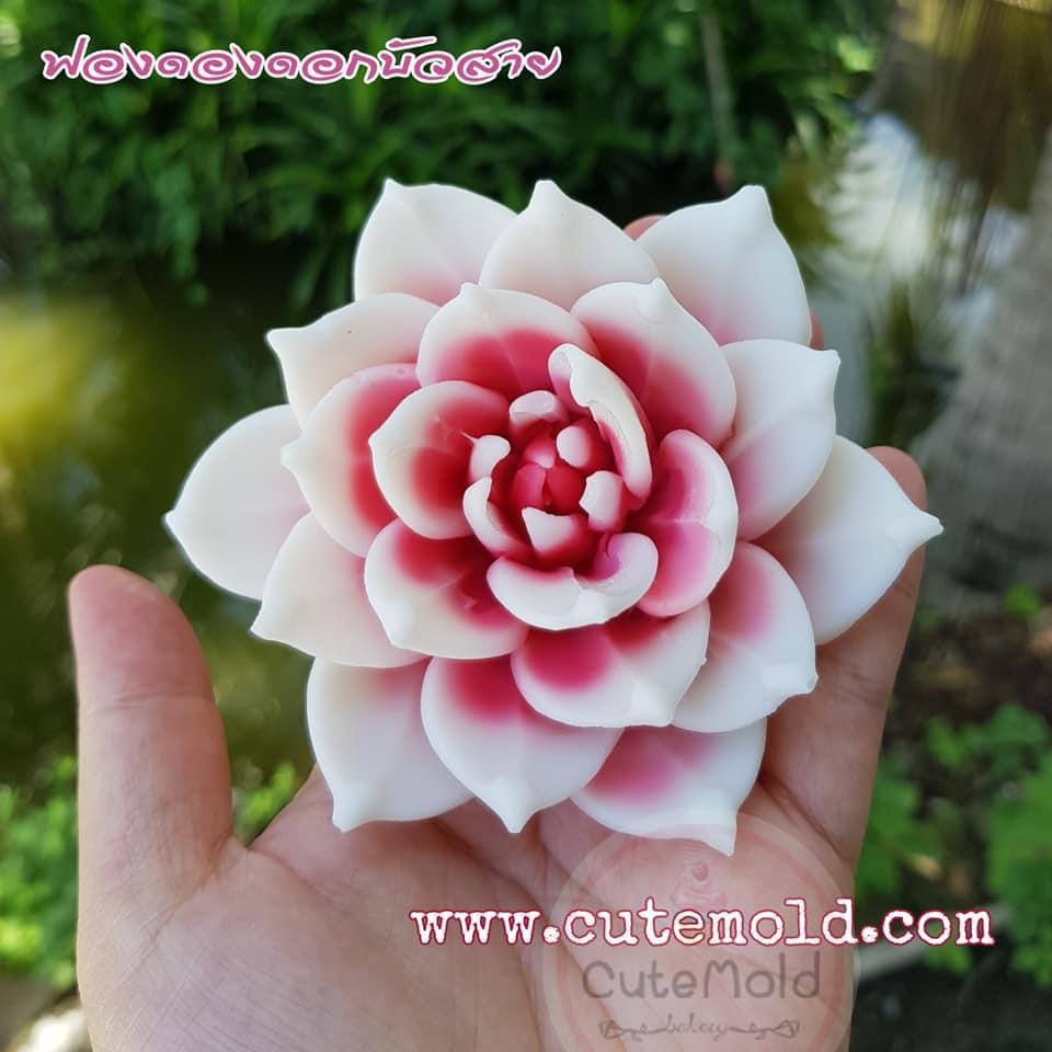Khuôn sen đá đại làm mâm cúng
