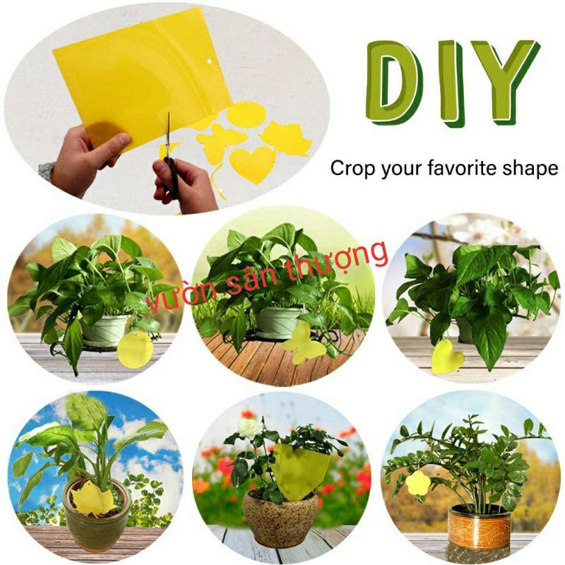[Kèm Dây Treo] 1 Miếng Bẫy Dính Ru.ồi Vàng 15x20cm, Và Một số Loài Cô.n Trù.ng Gây H.ại Bằng Biện Pháp Cơ Học, A.n Toàn