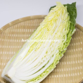 0,5 Gram - Hạt Giống Cải Thảo Nhật Phương Nam