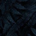 viet_anh_01