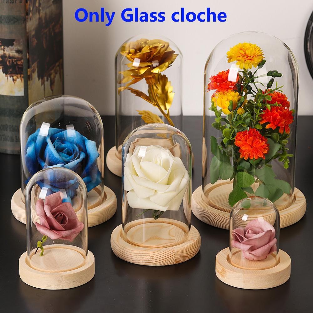 BAMBOOB Kính cloche Cây Trang Trí Nhà Terrarium Trong Suốt Bình Thủy Tinh Hoa Hộp Bảo Quản