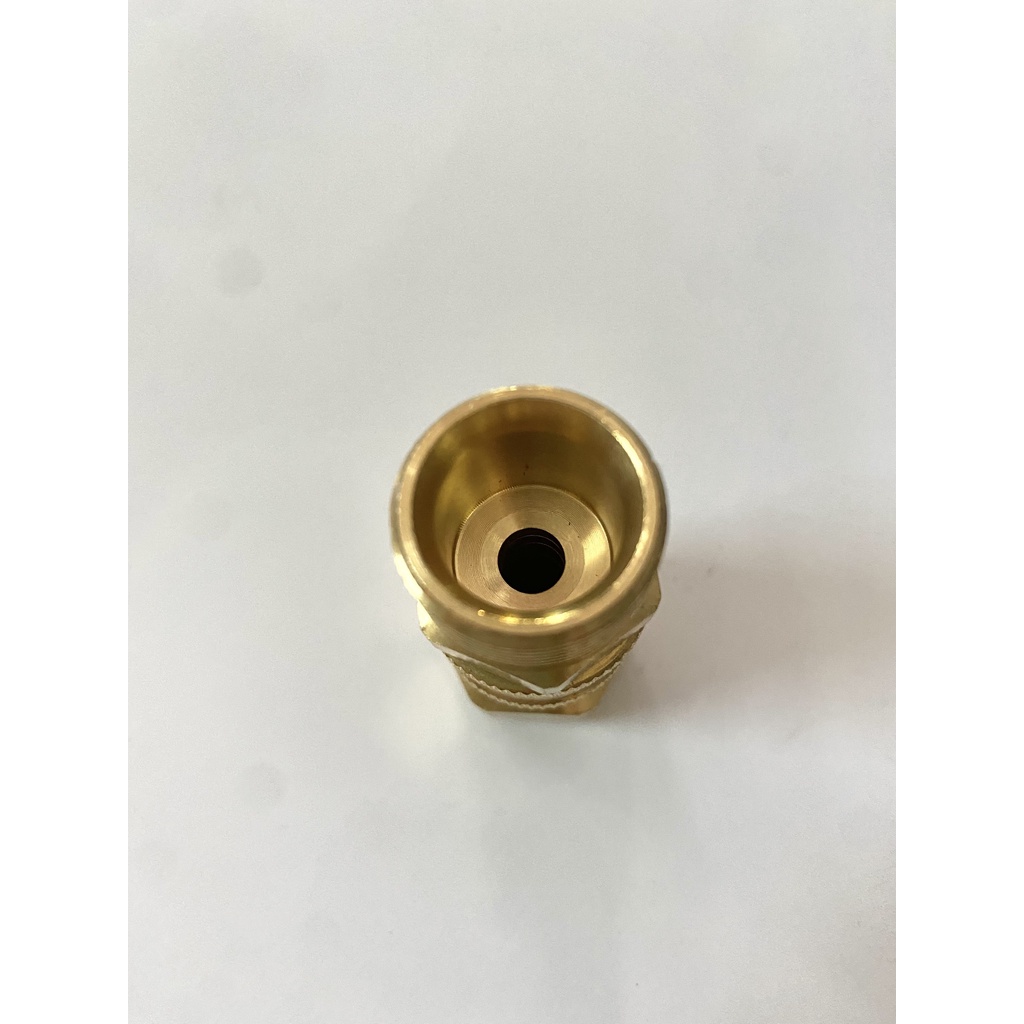 Khớp nối nhanh đầu nước ra máy xịt rửa áp lực cao, máy rửa xe (lớn)