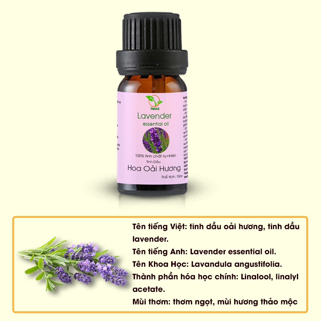 Ảnh Tinh dầu Oải Hương (Lavender) TAMAS 10ml thơm phòng, thư giãn 3