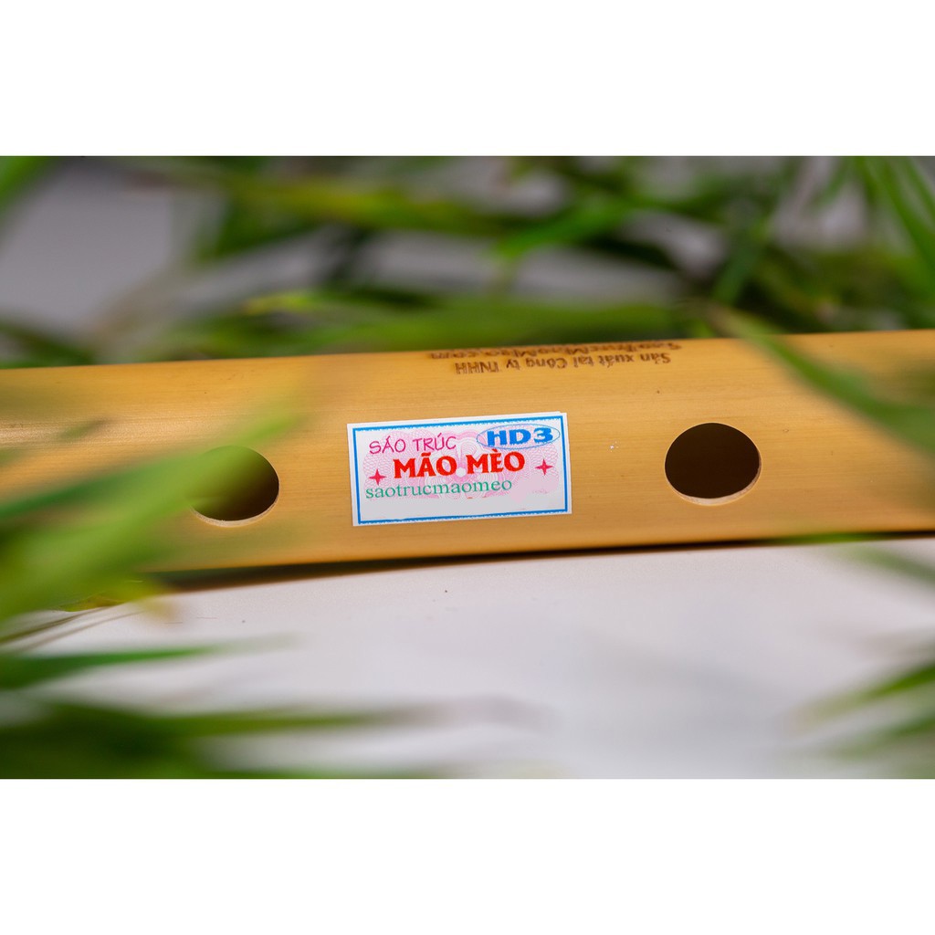 Sáo Trúc Mão Mèo HD3 - STHD3500k | Shopee Việt Nam