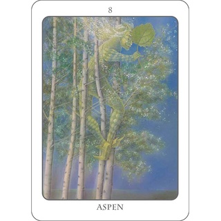 Bộ Bài Tree Angel Oracle (Mystic House Tarot Shop) - Bài Gốc Authentic Chính Hãng 100%