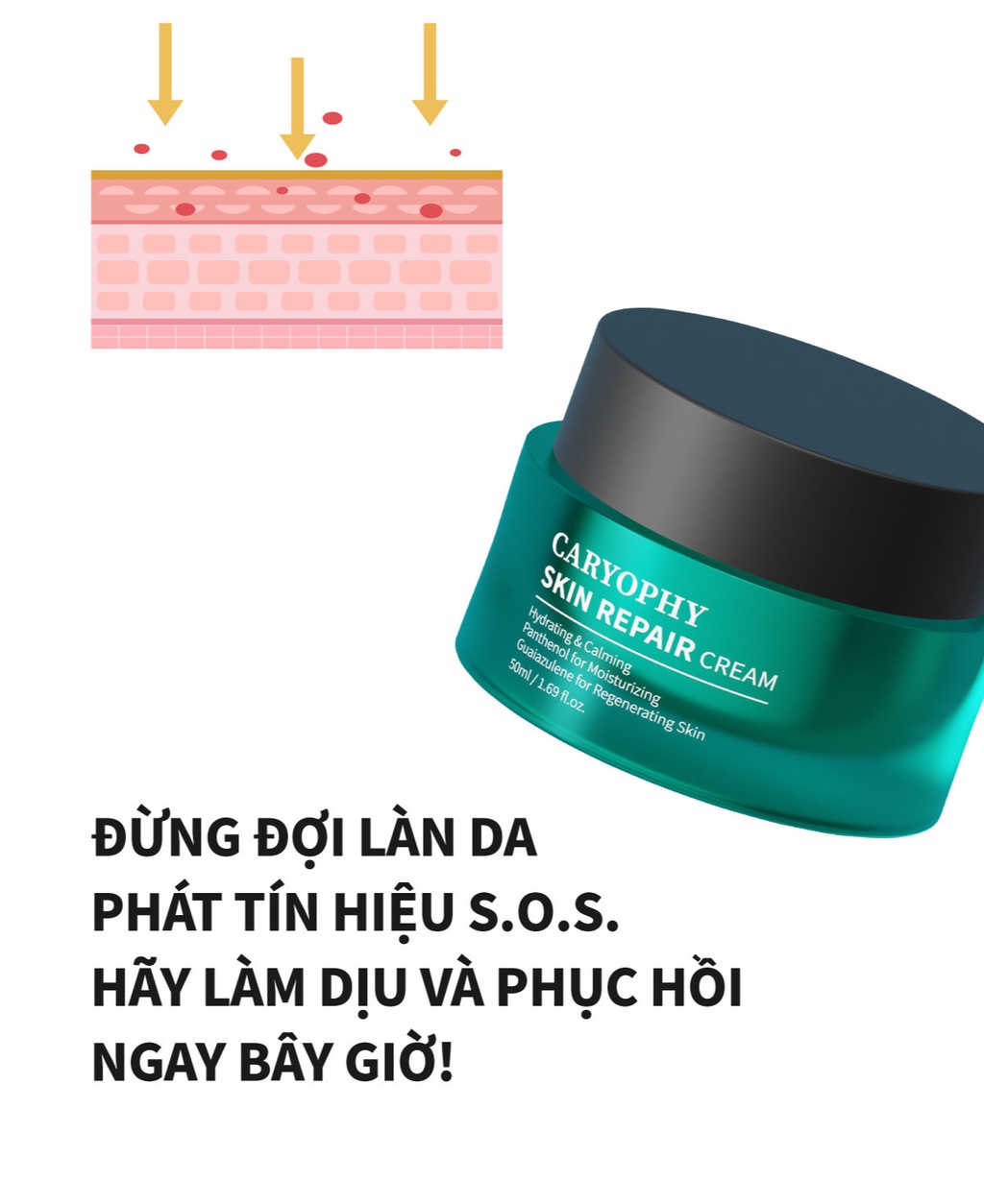 Mô tả Kem dưỡng ẩm phục hồi da nhạy cảm Caryophy Skin Repair Cream 50ml - 5