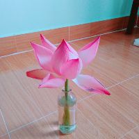 trang_nghi20