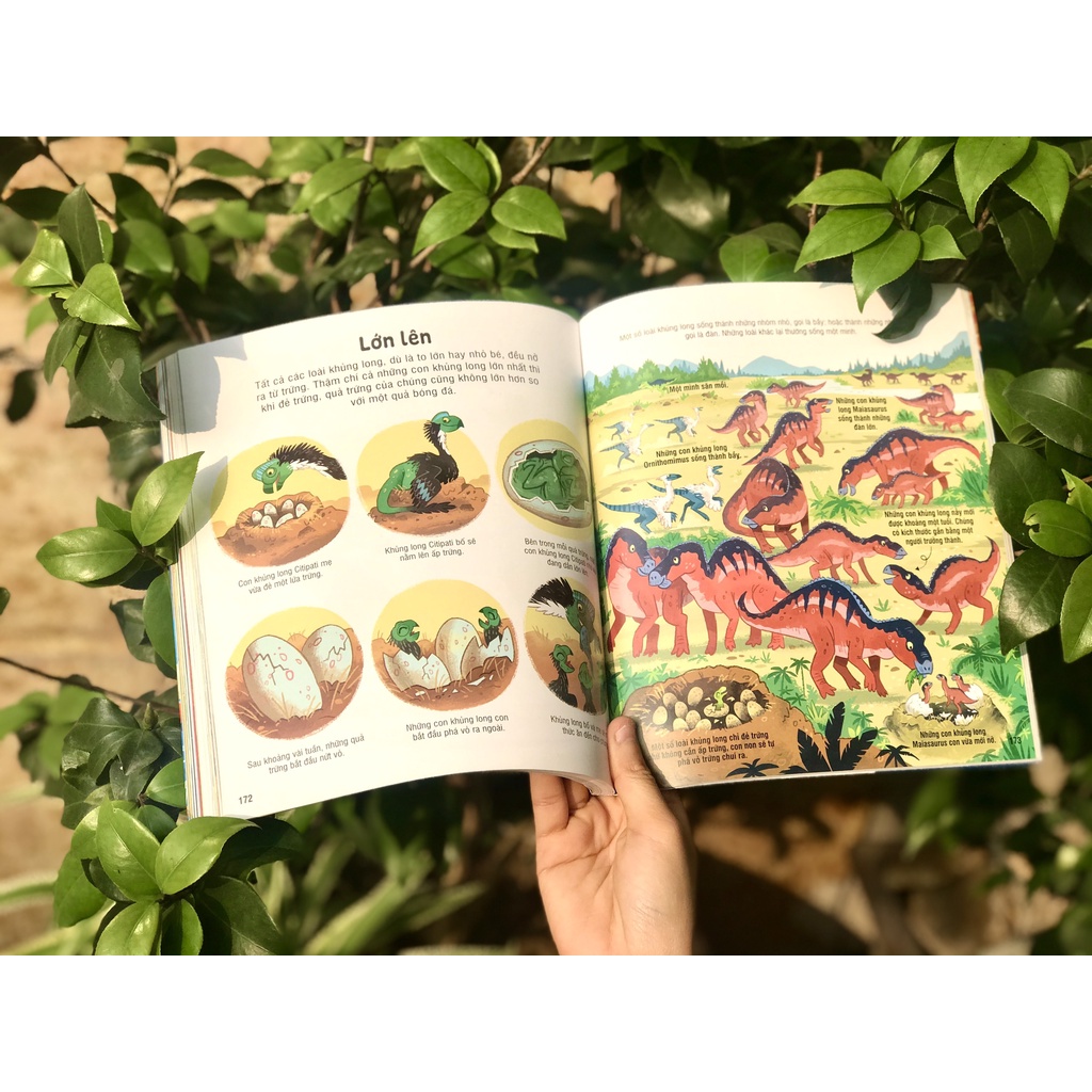 Ảnh SÁCH - Bách khoa tri thức cho trẻ em - Usborne 2