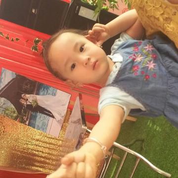 hoahongxanh311bg