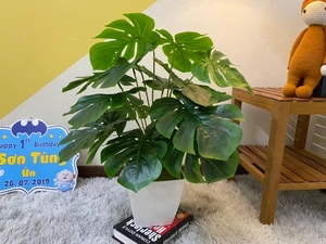 Cây lá rùa mẫu 60cm - 18 nhánh lá - cây giả trang trí